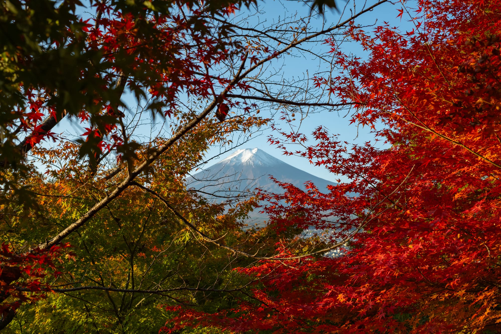 Hakone & Mt Fuji 2025